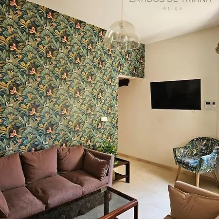 Appartamento Latidos De Triana - Atico Con Vistas A Todo *